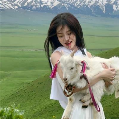 金装律师第九季
